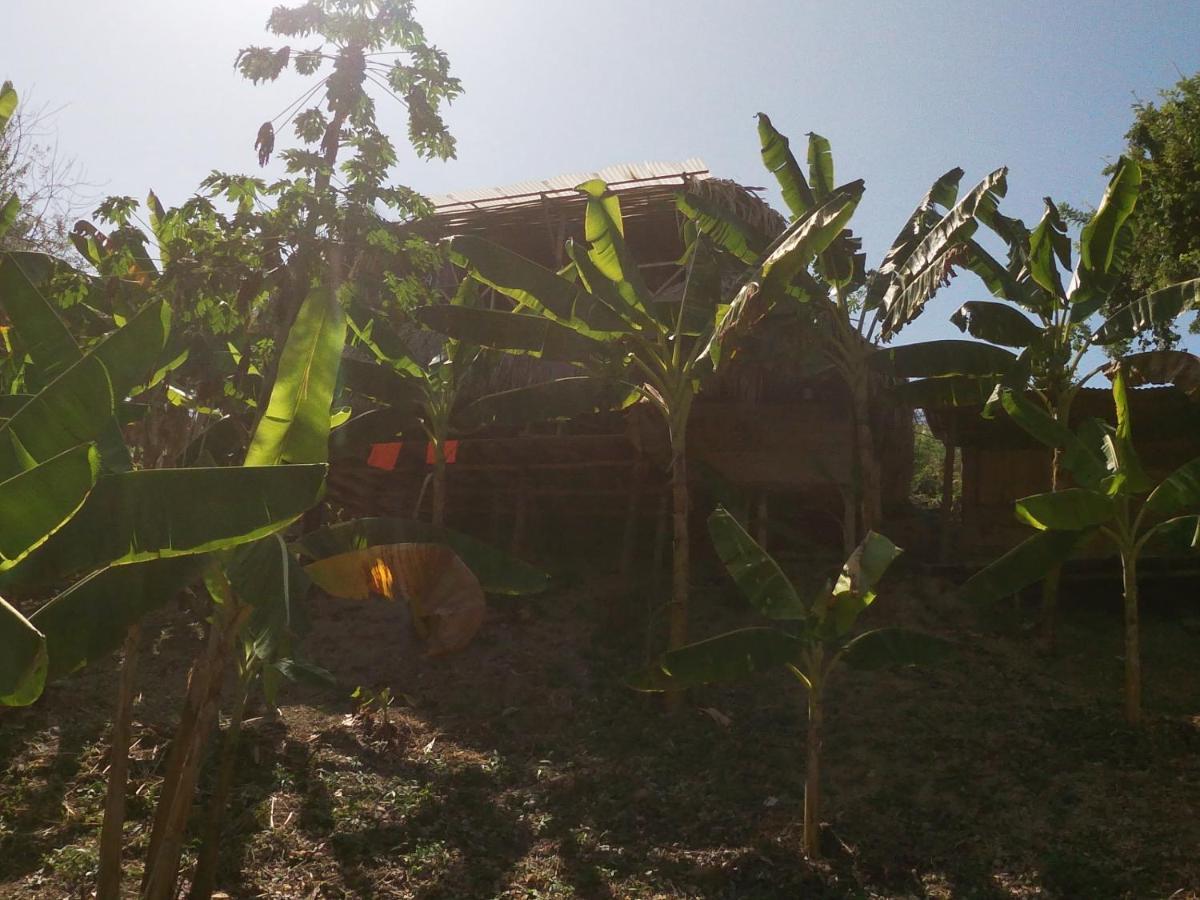 Private Beach House Maloka Surf Puerto Limon Екстер'єр фото